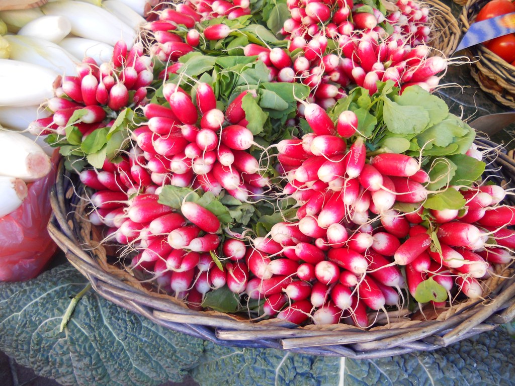 Ravanelli - Radishes